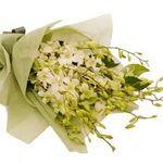 white orchids