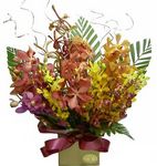 orchid arrangement