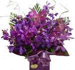Deep purple
Orchid arrangement