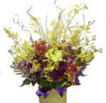 mixed orchids box arrangement