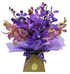 perth orchids