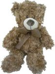 cream teddy perth