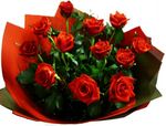 roses perth australia