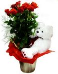 Perth Valentine roses
