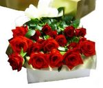 Valentines boxed roses Perth