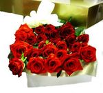 Valentines  roses Perth