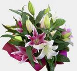oriental lily bouquet perth