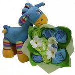 perth new baby gift