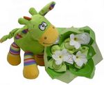 baby gift perth Australia