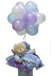 baby boy balloons & teddy Perth