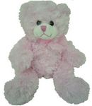 cream teddy perth