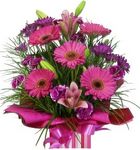 pink flowers