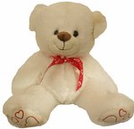 white teddy perth