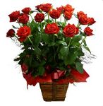 Roses and flowers