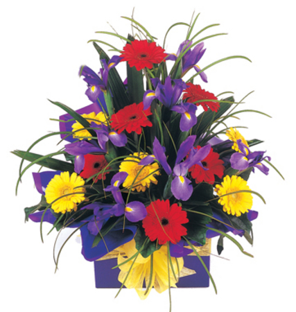 Flower Delivery Perth on Florist Perth Online  Flowers Delivery Perth Wa Australia