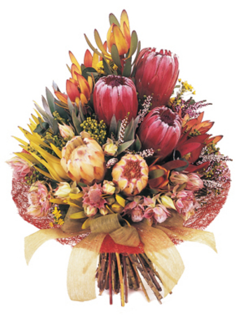 Flower Delivery Perth on Flowers   Flowers   Bouquets   Florist Perth Online  Flowers Delivery