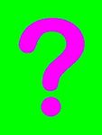 Mystery Bouquet florists choice