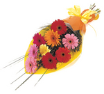 Vibrant Fun - flowers to make you smile