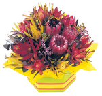 Native Burst - long lasting native Perth flowers