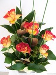 High society - 6 roses