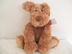 Studley The Dog