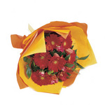 Mixed Bouquet with Roses