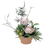 Native Pot Arrangement