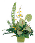 Tropical Box Arrangement