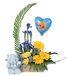 Celebration Baby Arrangement