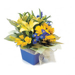 Boxed Arrangement