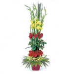 Pot Arrangement