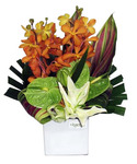 Compact Tropical Arrangement - Citrus