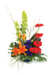 Modern Pot Arrangement
