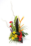 Modern Arrangement