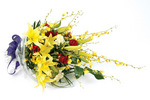 Sympathy Sheaf