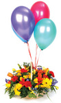 Celebration Basket Arrangement and Four Balloons