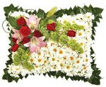 Sympathy Pillow