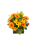 Large Box Arrangement  "ON SPECIAL"