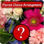 Florist's Choice Arrangement