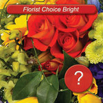 Bright Seasonal Arrangement