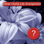 Florist Choice Lilly Arrangement