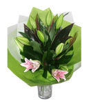 Oriental Lilium Bouquet - Pink
