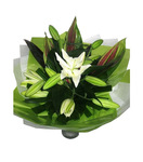 Oriental Lilium Bouquet - White