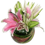 Oriental Lilium Posy in glass fishbowl