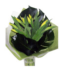 Tulip Bouquet