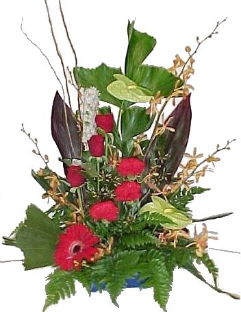 Modern style arrangement