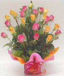 Two dozen rose bouquet