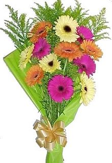 Bouquet of dozen gerberas