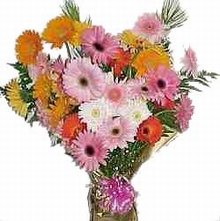 Bouquet two dozen gerberas