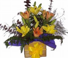Arrangement in kraft box